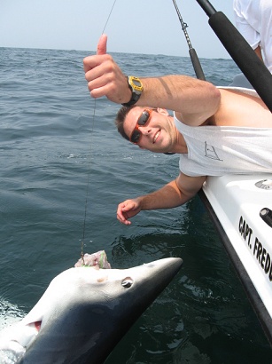 http://www.andreastoycharters.com/Charter_Fishing_Photos/shark_fishing_01.jpg